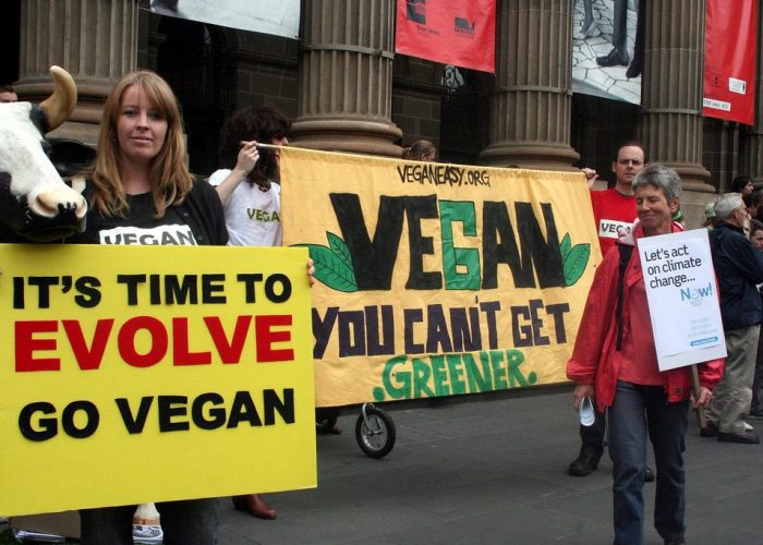 5-Reasons-Everyone-Loves-to-Hate-Animal-Rights-Activists