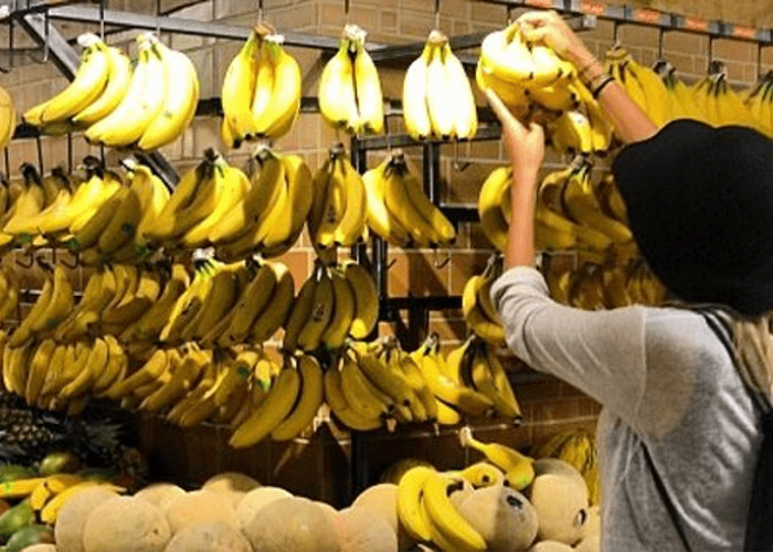 Bananas as the mainstay of an evolved diet and cruetly-free lifestyle Bananas as the mainstay of an evolved diet and cruetly-free lifestyle