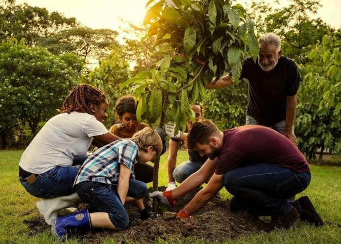 On the Ground Everyday Revolution - fruit tree planting