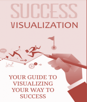 Success Visualisation