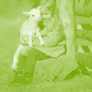 Veganism as a Virtue_ How Compassion and Fairness Show Us What Is