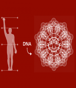 How Sacred Geometry is Embedded In Our DNA